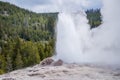 Old Faithful geyser erupting - Yellowstone National Park- Yellow Royalty Free Stock Photo