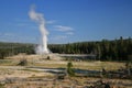 old Faithful Geyser Eruption at spring, Yellowstone Royalty Free Stock Photo