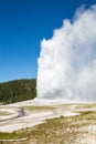 Old Faithful geyser eruption into Yellowstone National Park, USA Royalty Free Stock Photo