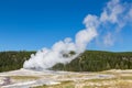 Old Faithful geyser eruption into Yellowstone National Park, USA Royalty Free Stock Photo