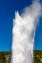 Old Faithful geyser shooting into the air in Yellowstone Park Wyoming with a blue sky Royalty Free Stock Photo