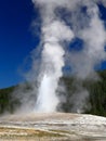 The Old Faithful Geyser in Yellowstone