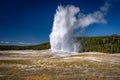 Old Faithful geyser in Yellowstone National Park, Wyoming, USA Royalty Free Stock Photo