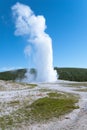 Old Faithful Geyser, Yellowstone National Park, Wyoming, USA Royalty Free Stock Photo