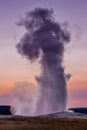 Old Faithful at sunset Royalty Free Stock Photo