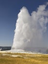 Old Faithful Royalty Free Stock Photo