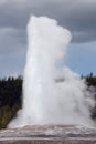 Old faithful in Yellowstone