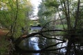 An old fallen tree across a small quiet stream in the forest Royalty Free Stock Photo