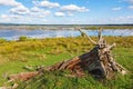 Old fallen tree lying on the beach Royalty Free Stock Photo