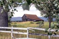 Old falling down barn in a field Royalty Free Stock Photo