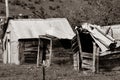 Old falling down rustic farm sheds in sepia toned image