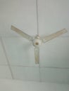 old fan from Indonesia contry