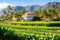 Old farm between banana trees on the coast of Rambla de Castro in the north of Tenerife, Canary Islands made