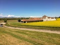 Old farm with canola field with clouds in the sky.