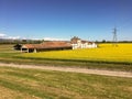 Old farm with canola field with clouds in the sky.