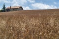 Old farm in Catalunya (Spain) Royalty Free Stock Photo