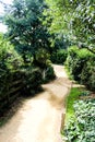 Old farm gate and path in new Zealand Royalty Free Stock Photo