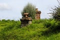 Old farm gate and path in new Zealand Royalty Free Stock Photo