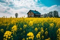 Old farm house in a canola field.AI generated