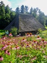 Old farm house in open-air museum ballenberg in switzerland with pink flower field in front Royalty Free Stock Photo