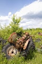 Old Junkyard Farm Tractor Body Parts Royalty Free Stock Photo