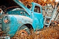 Old Farm Truck Royalty Free Stock Photo