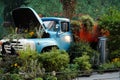 Old farm truck in the country surrounded by wild flowers Royalty Free Stock Photo