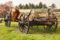 Old Farm Wagon