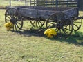 Old Farm Wagon Royalty Free Stock Photo