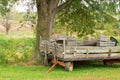 Old farm wagon or trailer Royalty Free Stock Photo