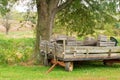 Old farm wagon or trailer