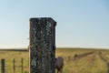 Old farm wire fence post covered with mosses and lichens Royalty Free Stock Photo