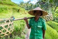 Old farmer on Bali rice field