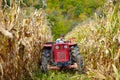 Old farmer driving the tractor in the cornfield Royalty Free Stock Photo