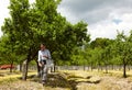 Old farmer fertilizing in an orchard Royalty Free Stock Photo