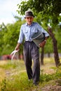 Old farmer fertilizing in an orchard Royalty Free Stock Photo