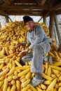 Old farmer in his maize barn Royalty Free Stock Photo