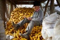 Old farmer in his maize barn Royalty Free Stock Photo