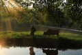 Old farmer lead the cattle under the ancient banyan tree Royalty Free Stock Photo