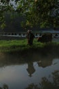 Old farmer lead the cattle under the ancient banyan tree