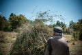 Old farmer making a haystack with a pitchfork for the winter on a sunny day in autumn. Agricultural work. Hay harvesting Royalty Free Stock Photo