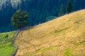 An old farmer's wooden house stands on an elephant mountain near a haystack against the backdrop of mountain peaks Royalty Free Stock Photo