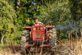 Old farmer with tractor harvesting plums Royalty Free Stock Photo