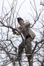 Old farmer trimming trees in his orchard