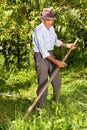 Old farmer using scythe to mow the grass Royalty Free Stock Photo