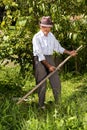 Old farmer using scythe to mow the grass Royalty Free Stock Photo