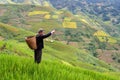 Old farmer works and carries baskets