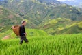 Old farmer works and carries baskets