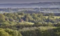 Landscape view across the High Weald of Sussex in summer
