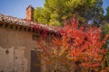 An old farmhouse and bright red tree in Tuscany Royalty Free Stock Photo